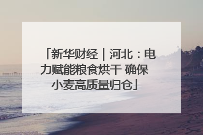 新华财经｜河北：电力赋能粮食烘干 确保小麦高质量归仓